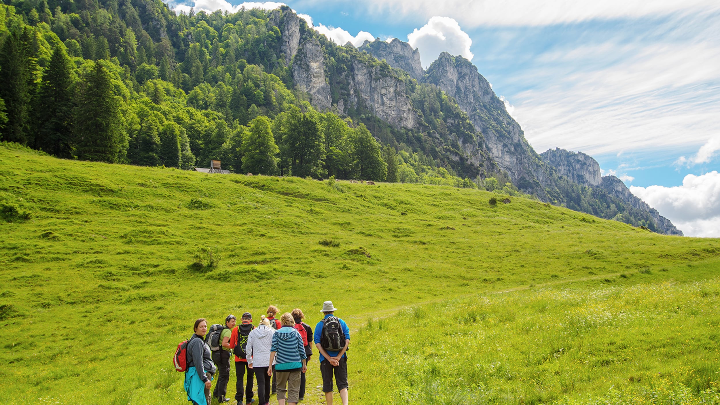 IN THE LIMESTONE ALPS NATIONAL PARK