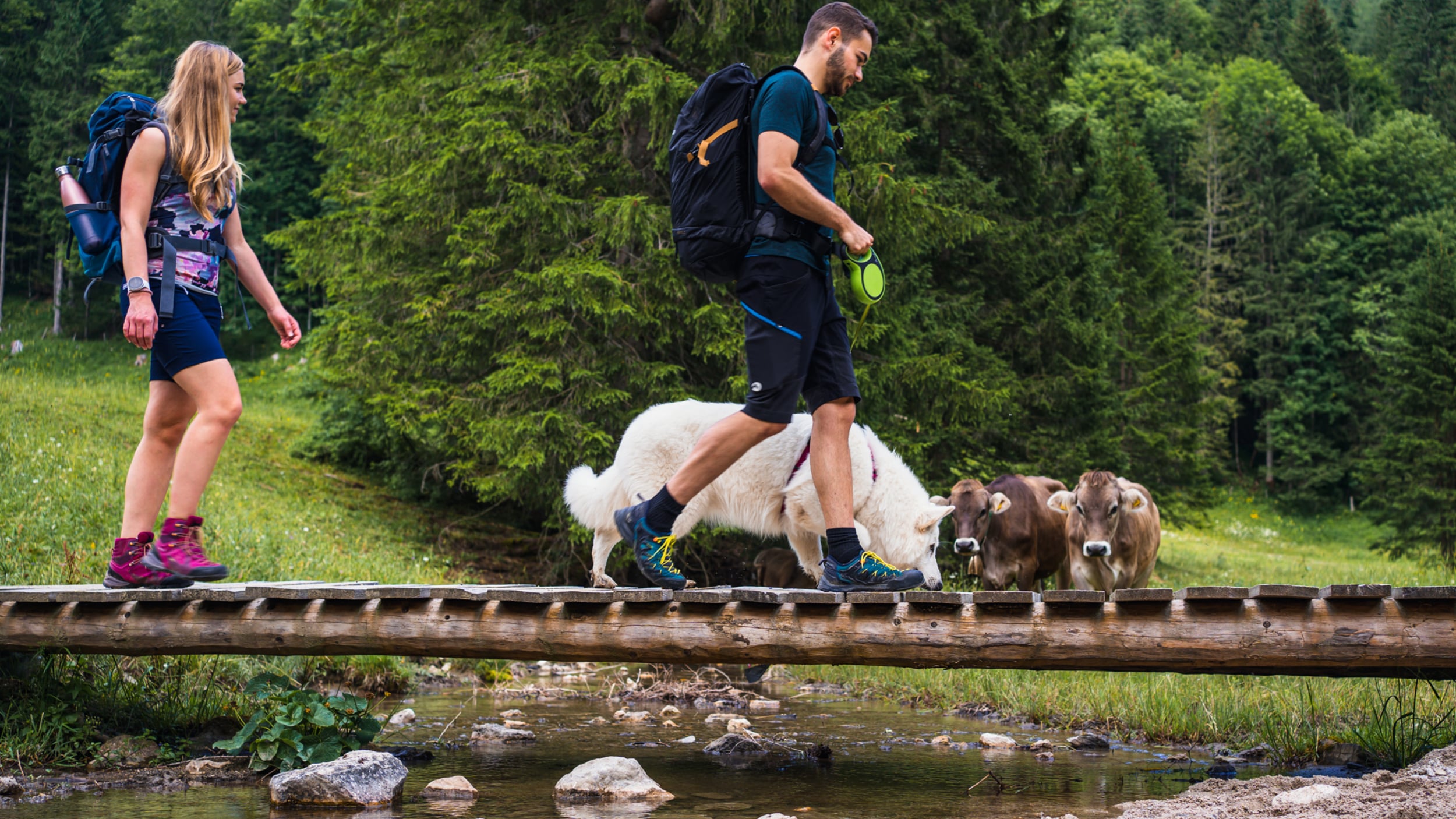 Paar wandert mit Hund über eine Holzbrücke