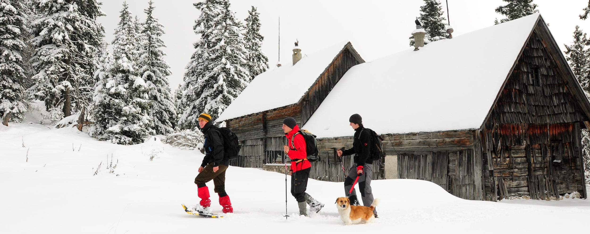 ruckXbob, Rodeln, Pferdeschlittenfahren & Co.: Der Winter in Windischgarsten ist vielseitig