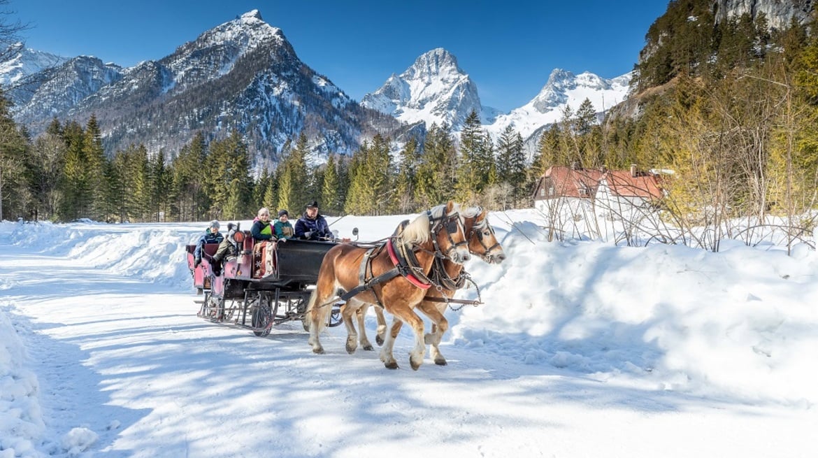 ruckXbob, Rodeln, Pferdeschlittenfahren & Co.: Der Winter in Windischgarsten ist vielseitig