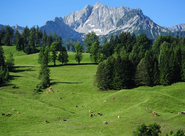 Das Hotel im Nationalpark und der Nationalpark im Hotel: Wo die Region in unserem Wellnesshotel spürbar wird