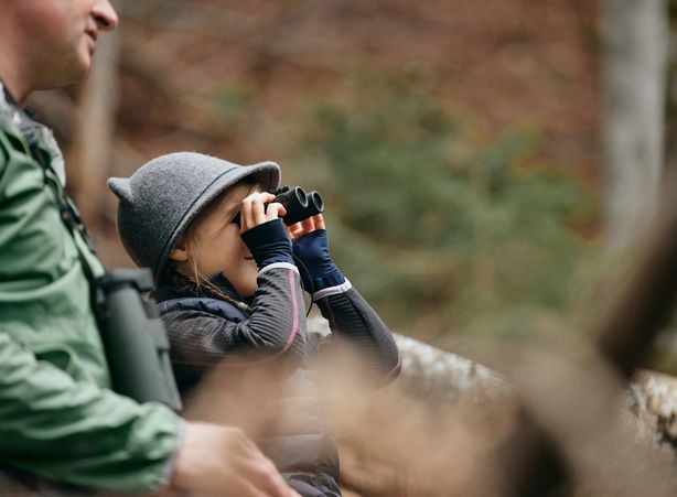 Den Nationalpark Kalkalpen mit einem Ranger erkunden