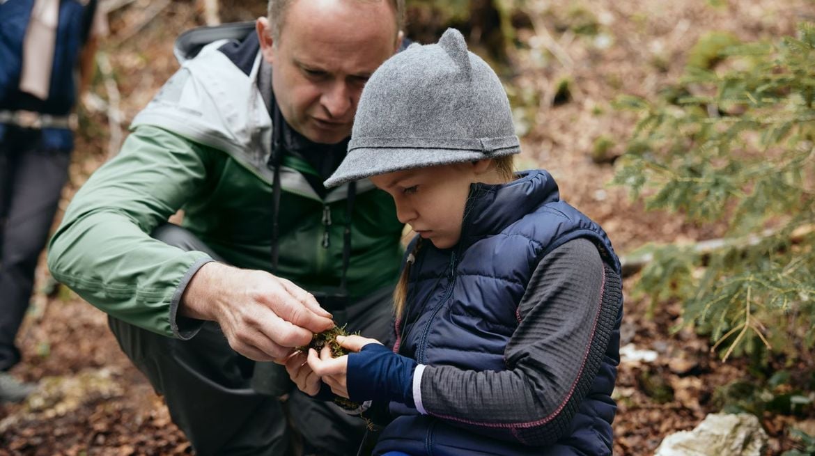 Den Nationalpark Kalkalpen mit einem Ranger erkunden