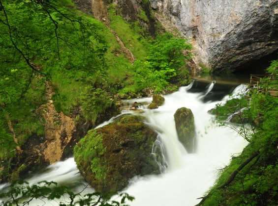 Den Nationalpark Kalkalpen mit einem Ranger erkunden