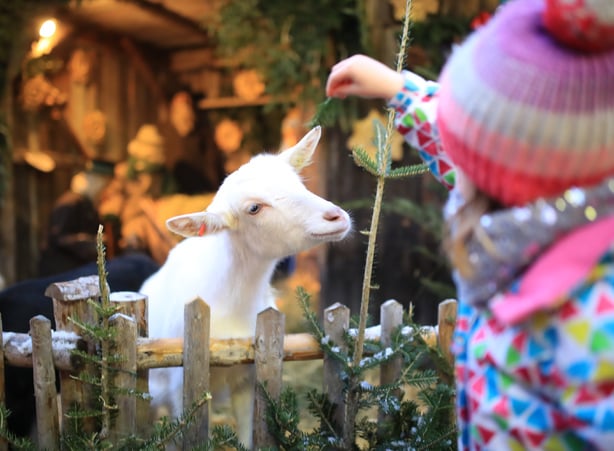 Advent in den Bergen - LP