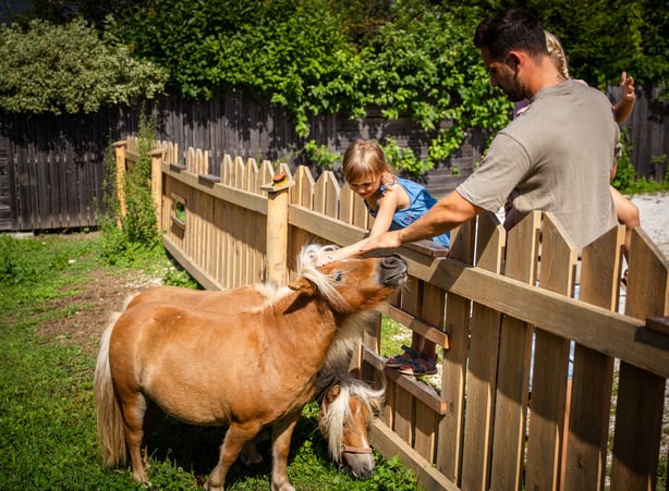 Vater mit zwei Kindern streichelt ein Pony im Streichelzoo des Hotel Dilly