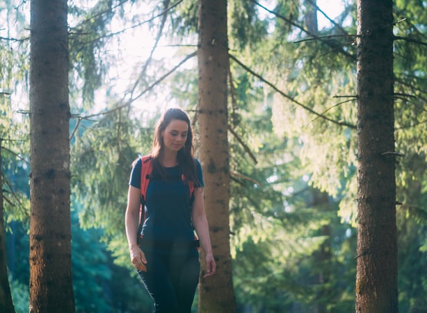 Fitnessstudio Nationalpark: Sportliche Übungen, die sich im Wald durchführen lassen