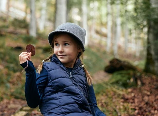 Bäume mithilfe von Blättern bestimmen: Ein Naturerlebnis für Kinder im Nationalpark Kalkalpen