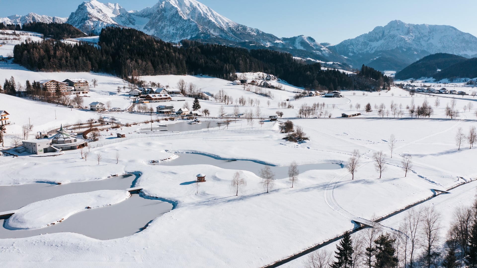 Weihnachtsfeiern, Winter Hochzeiten
