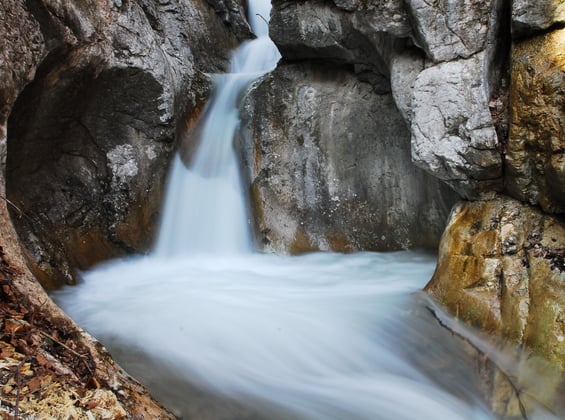 Unsere Naturapotheke: Die faszinierende Kräuterwelt im Nationalpark Kalkalpen