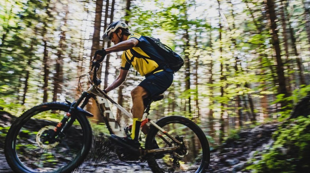Mountainbike im Wald