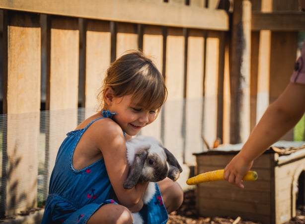 Kinder im Streichelzoo mit einem Hasen auf dem Arm im Kinderhotel Dilly