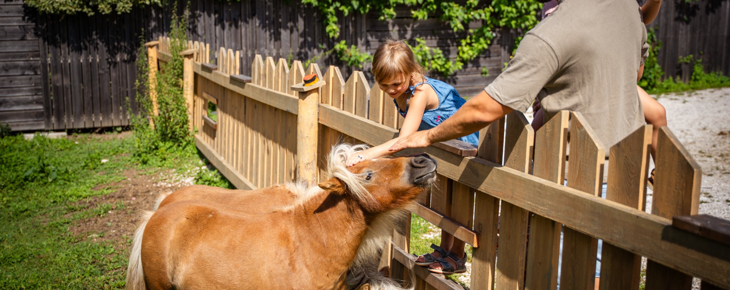 Kinder im Streichelzoo im Dilly Resort mit Ponys