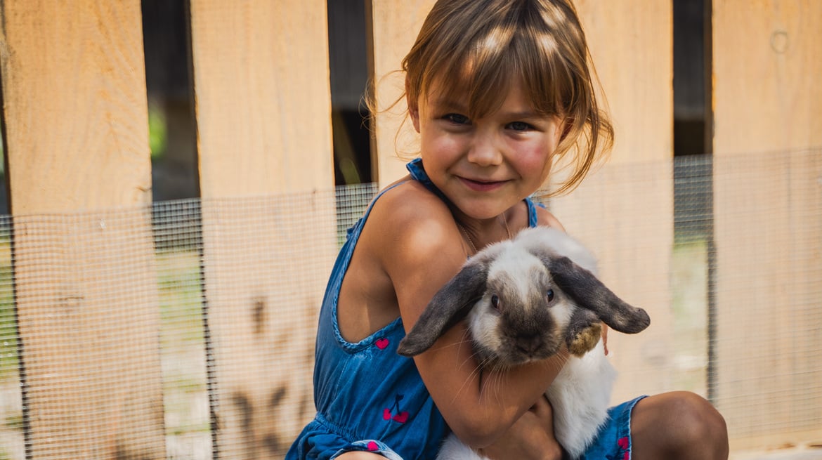 Streichelzoo im Dilly Resort