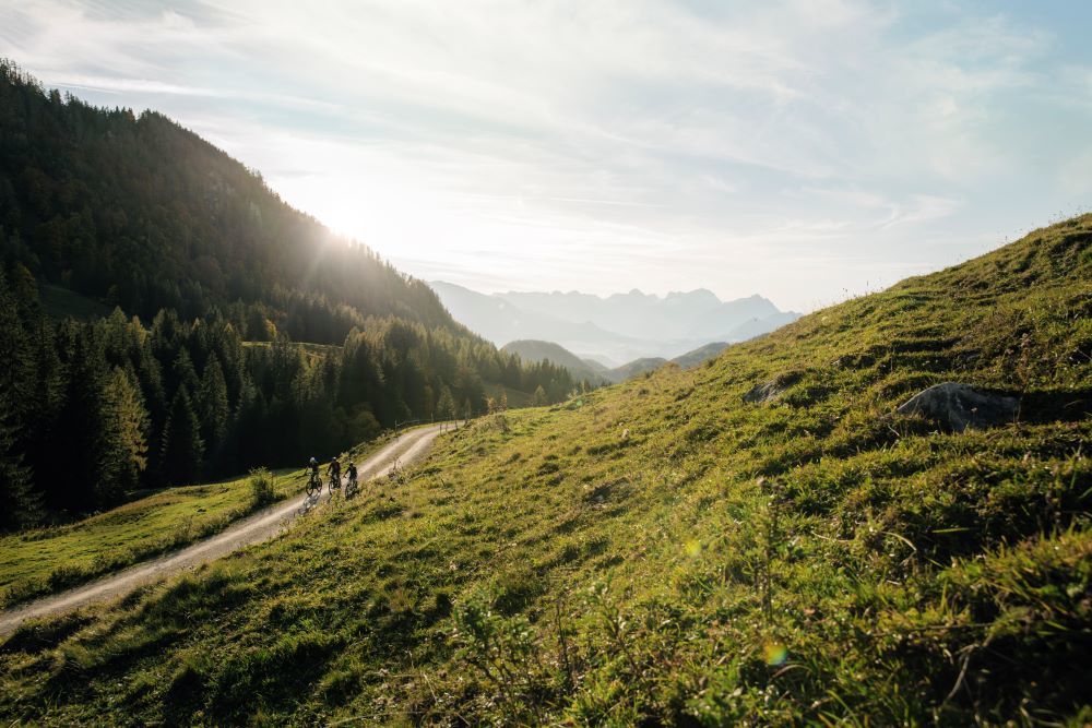 (E) Bike Tour