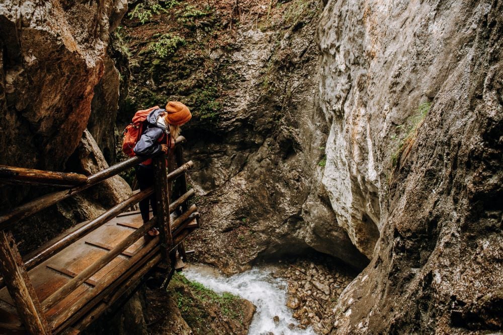 Dr. Vogelgesang-Klamm