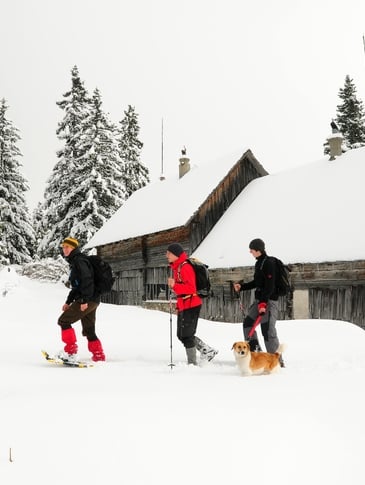 Group of snowshoe hikers with dog on the Moaralm