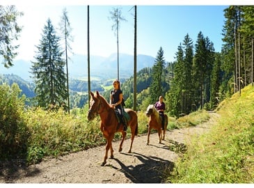 Reiter auf Pferden im Wald im Aktivurlaub im Nationalpark Kalkalpen