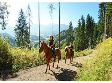 Riding horses in the forest on an active holiday in the Kalkalpen National Park