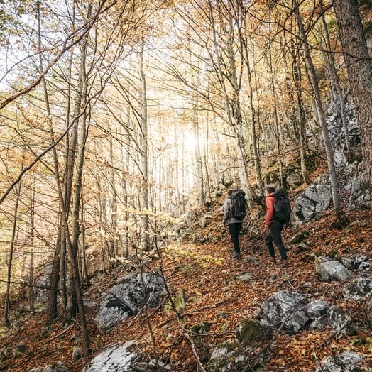 Wanderer im herbstlichen Wald im Aktivurlaub in Oberösterreich