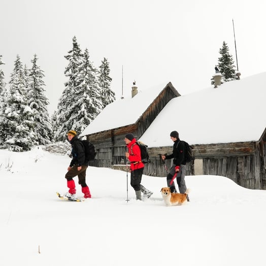 Snowshoe hiker with dog on the mountain pasture