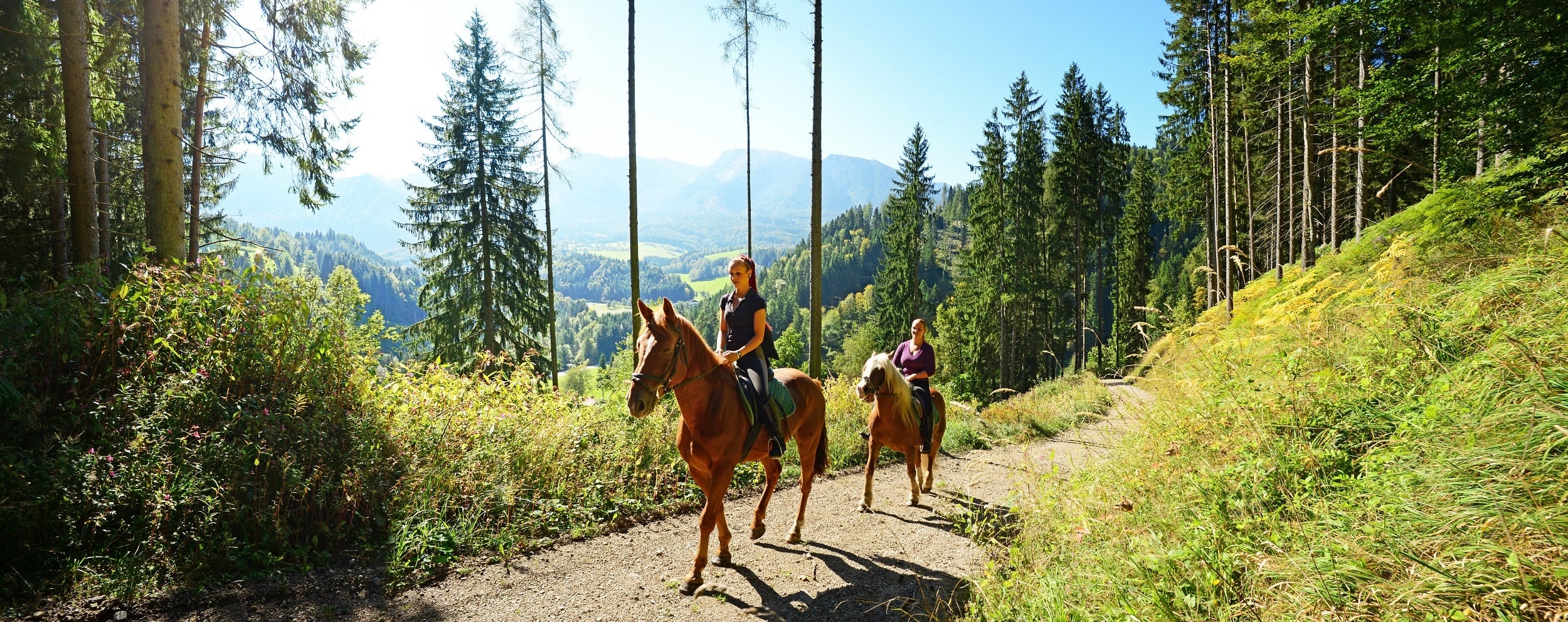 HORSEBACK RIDING