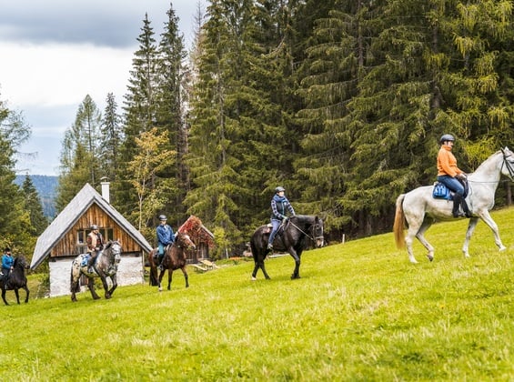 HORSEBACK RIDING