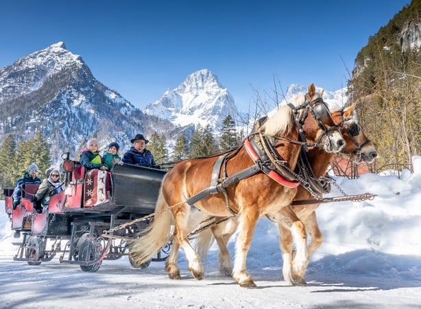 HORSE-DRAWN SLEIGH RIDE