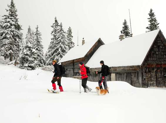 SCHNEESCHUHWANDERN