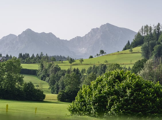 Greenfee -Aktionen & Mitgliedschaft