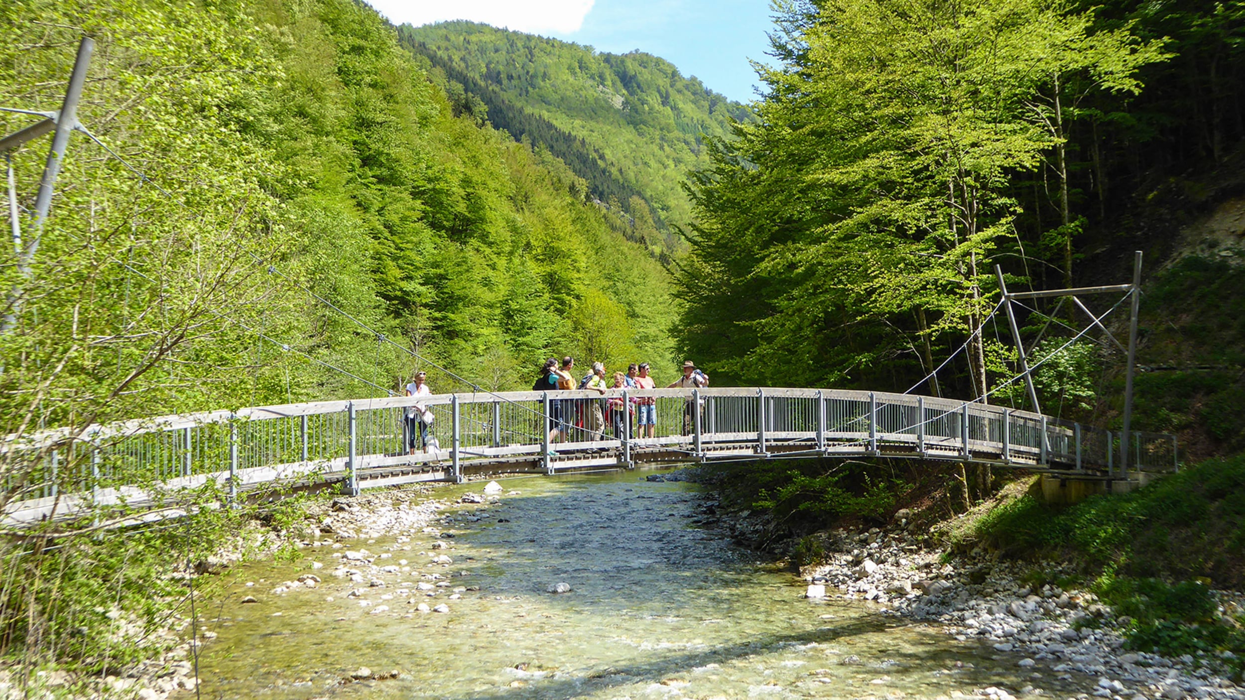 Kleiner Teich im Wald im Nationalpark Kalkalpen