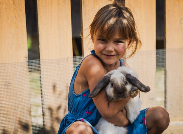 Petting Zoo