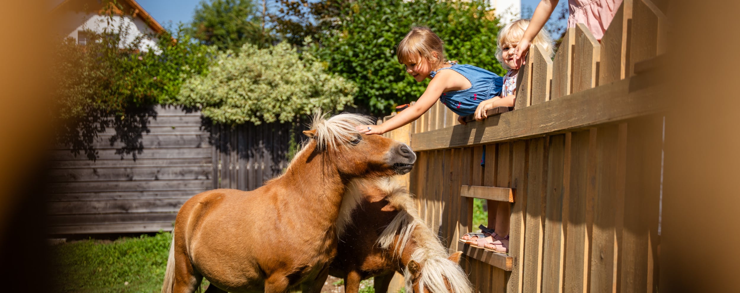 Kleines Mädchen streichelt Pony hinter einem Zaun