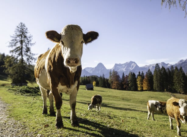 3-Hütten-Wanderung