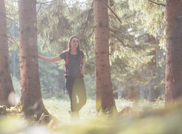 Nationalpark Programm