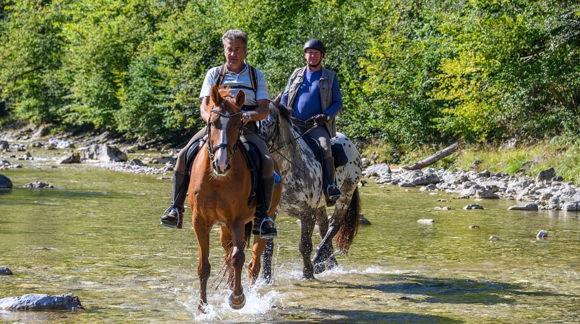 Reiten