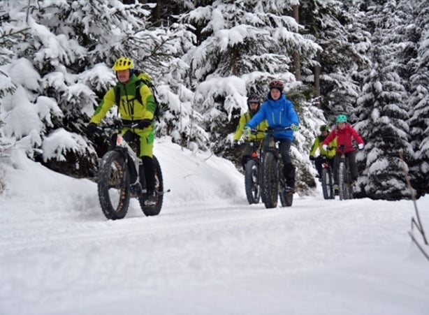 Gruppe beim Radfahren im Winter im Radurlaub im Nationapark Kalkalpen