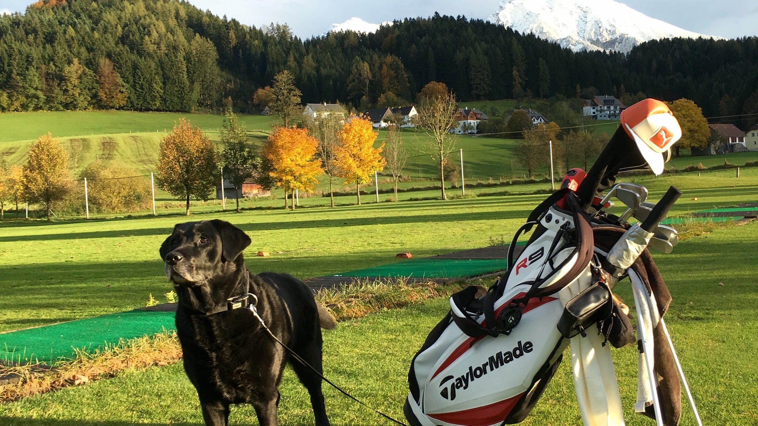 Golfen mit Hund