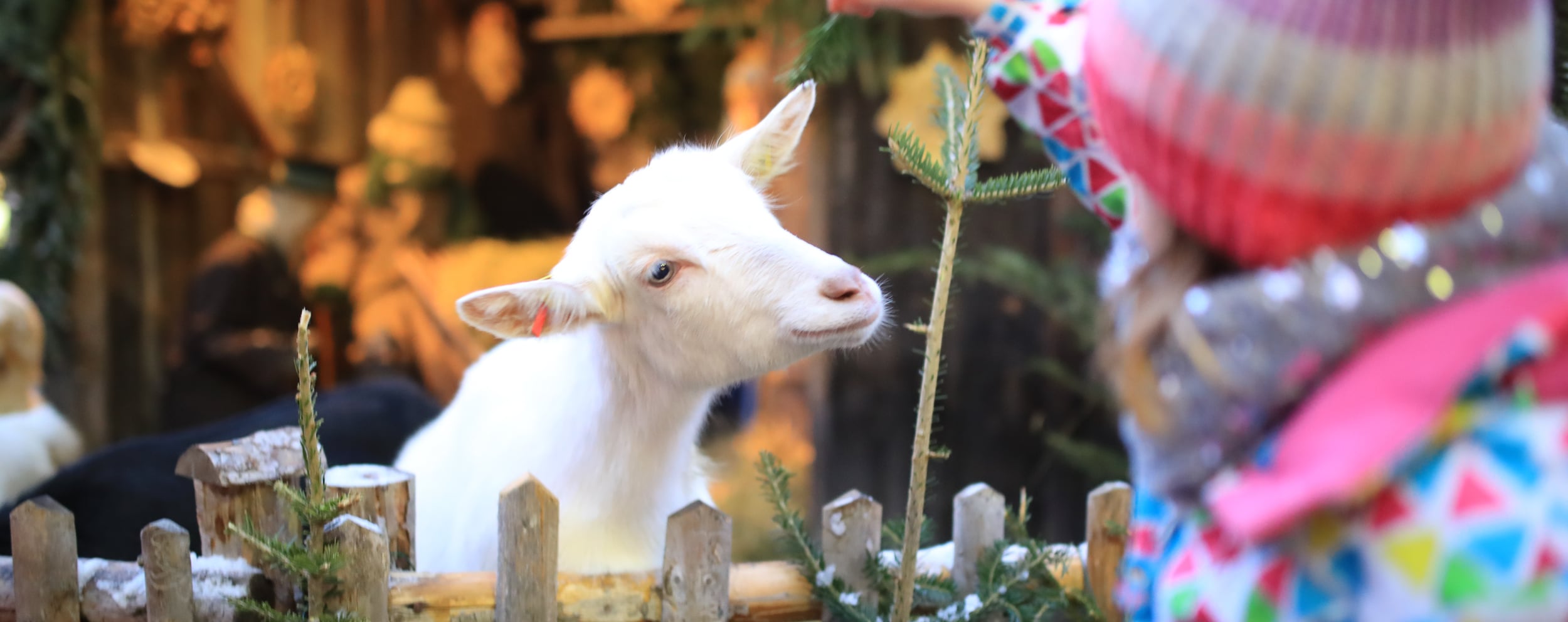 Durchatmen in der Vorweihnachtszeit: Urlaub in den Alpen im Advent